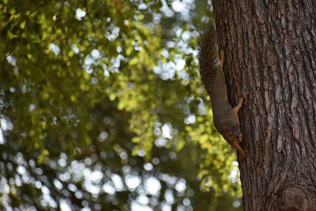 程度和竞争 程度和竞争