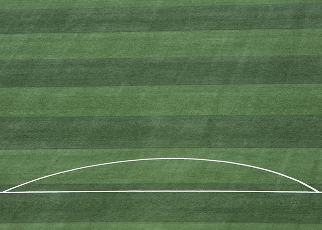 更有着深远 更有着深远