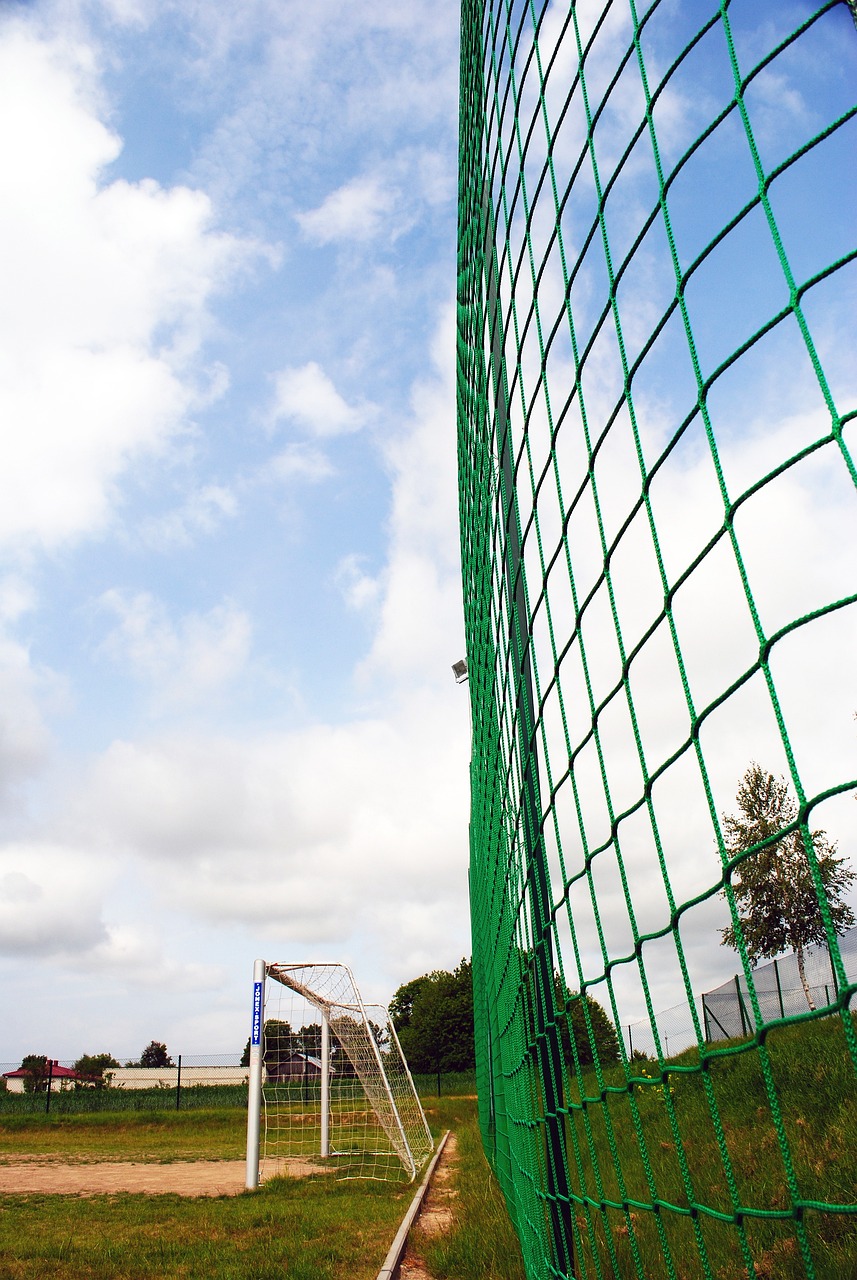 谋求他们令 谋求他们令