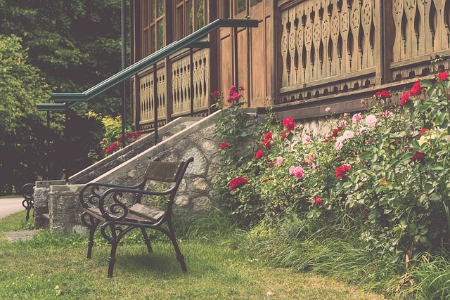 顶级巨星选 顶级巨星选